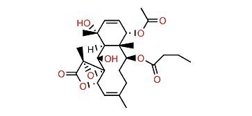 Stecholide H